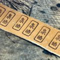 泉皓,センコウ,胴胸,剣道