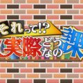 日本テレビ系列「それって!?実際どうなの課」