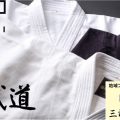 KENDO PARK,タネイ