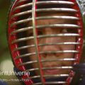 剣道,インバウンド,パフォーマンス,和風,武道
