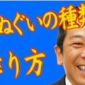 神野織物,手ぬぐい,面タオル